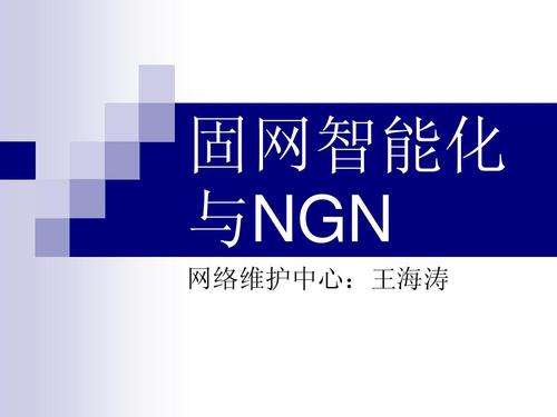固网智能化和软交换 固网智能化 与ngn 网络维护中心:王海涛